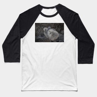 823 baby flamingo Baseball T-Shirt